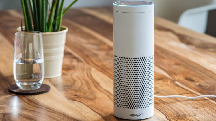Robomow: "Alexa, sage Robomow er soll den Rasen mähen!"