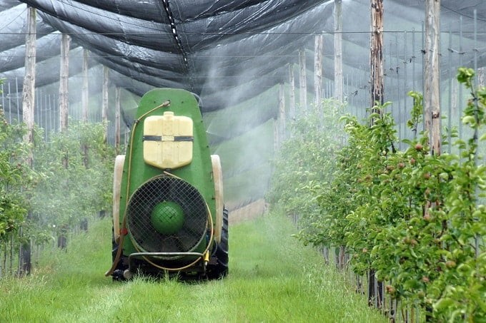 Pflanzenschutzmittel: Kanton Bern und Bauern sehen Handlungsbedarf
