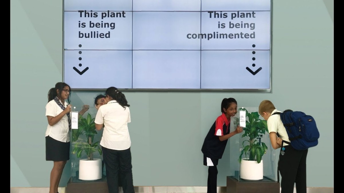 Ikea lässt Pflanzen mobben