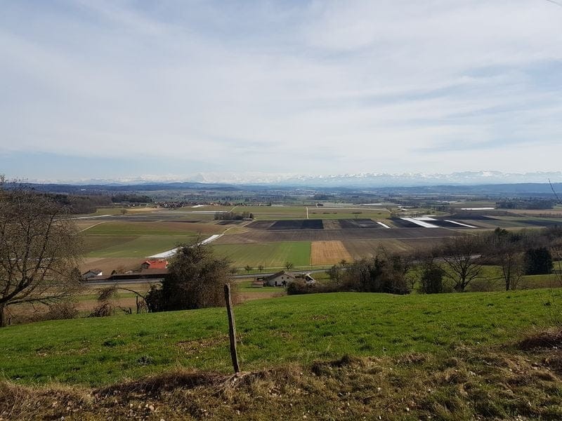 Hoher Schädlingsdruck befürchtet