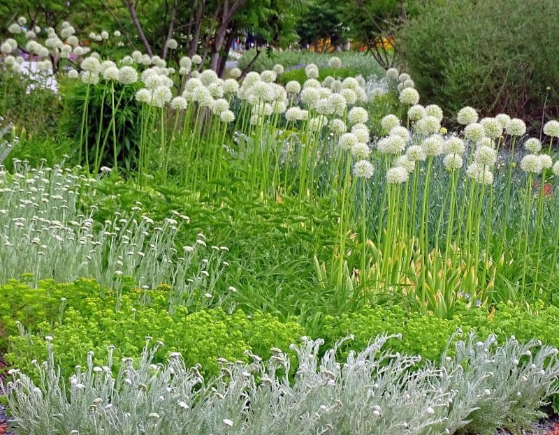 Gartengestaltung – Traumpaar Grün und Weiß