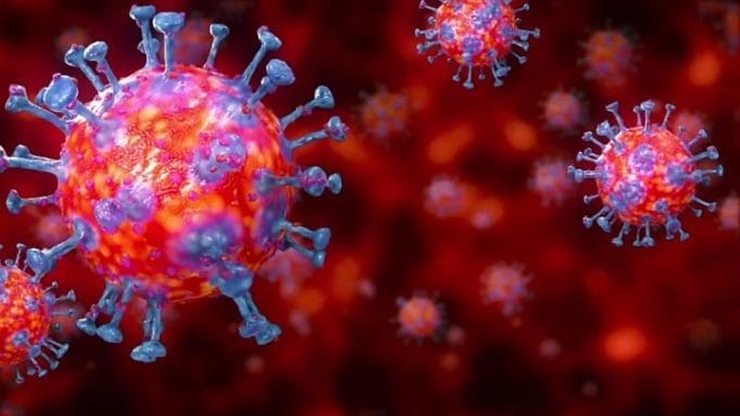 Coronavirus: Krankheitserreger könnten sich seit Jahren beim Menschen ausgebreitet haben