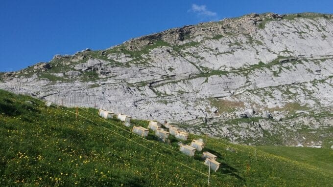 Wie der Klimawandel Ökosysteme durcheinanderbringt