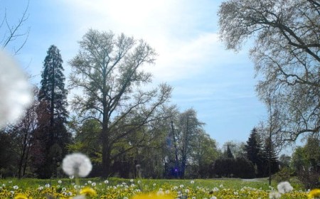 "Natur im Garten" Gemeindetag in Österreich - digital