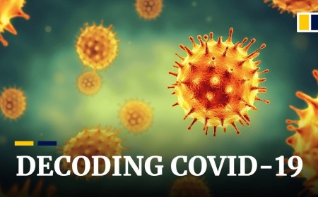 Ein Virus verursachte Covid-19. Wissenschaftler sagen, dass Tausende weitere warten