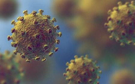 Ein Drittel der Coronavirus-Fälle könnten laut chinesischen Daten „stille Träger“ sein