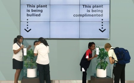 Ikea lässt Pflanzen mobben