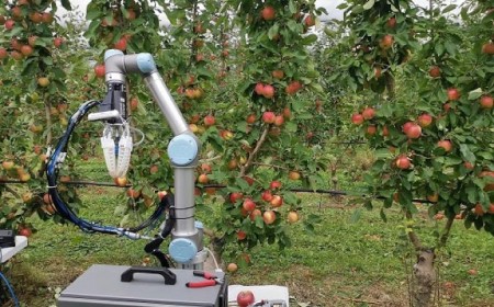 Apfelpflückroboter - alle 7 Sekunden eine Frucht