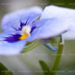 7296938152_ca464e3879_h