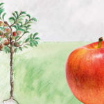 Crony_Apfelbaum_Falstaff