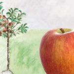 Crony_Apfelbaum_JamesGrieve