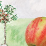 Crony_Apfelbaum_Karneval