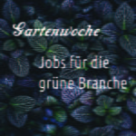 Jobmagazine-0