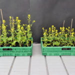 unterschied_uni_zürich