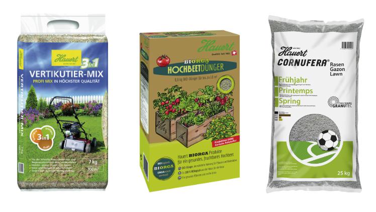 Sommerbeet