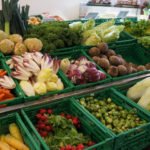 Sager_martin_brunner_2