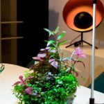 Wabi_Kusa_WZF_Frederic_Fuss