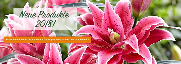 Bild Homepage bakker.com