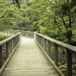 baumwipfelpfad_neckertal