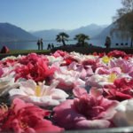 kamelienpark_locarno