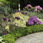 rhododendron-bloombux_3