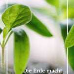 Gesunder-Boden-zoom-0