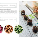 Gesunder-Boden-zoom-13