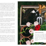 Gesunder-Boden-zoom-16