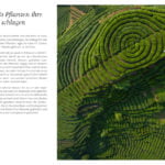 Gesunder-Boden-zoom-2