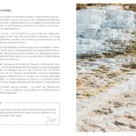 Gesunder-Boden-zoom-4