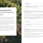 Gesunder-Boden-zoom-7