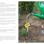 Gesunder-Boden-zoom-9