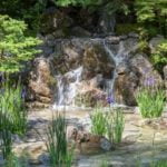 the-hospitality_garden