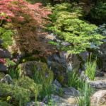 the-hospitality_garden_2