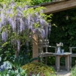 welcome_to_yorkshire_3