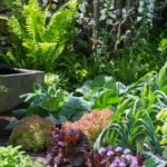 welcome_to_yorkshire_4