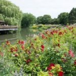 Chigago Botanical Garden