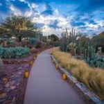 Desert Botanical Garden