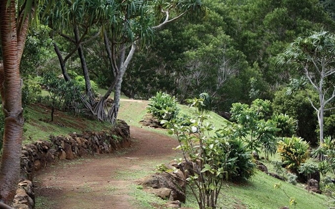 Limahuli Garden-min