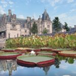 biltmore_garden