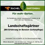 stelleninserat_büchel
