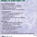 stelleninserat_frikarti