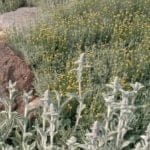 GMH_2020_12_02-550×413