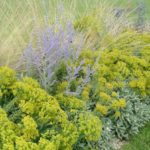 GMH_2020_12_03-550×413