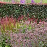 GMH_2020_12_04-550×310