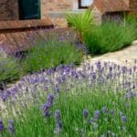 GMH_2020_12_06-550×366