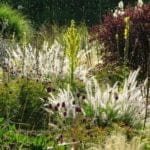 GMH_2020_12_10-550×310