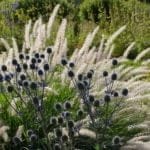 GMH_2020_12_11-550×310