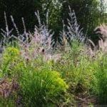 GMH_2020_12_12-550×310