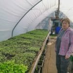 Sibylle_Siegrist_im_Folientunneljpg